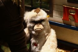 weihnachtsmaerkte-2010-duesseldorf-schaufenster-054