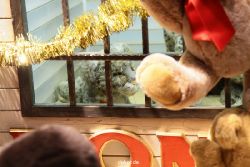 weihnachtsmaerkte-2010-duesseldorf-schaufenster-055