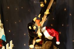 weihnachtsmaerkte-2010-duesseldorf-schaufenster-061