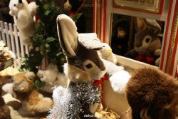 weihnachtsmaerkte-2010-duesseldorf-schaufenster-075