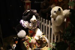 weihnachtsmaerkte-2010-duesseldorf-schaufenster-076