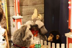 weihnachtsmaerkte-2010-duesseldorf-schaufenster-082