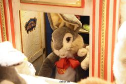 weihnachtsmaerkte-2010-duesseldorf-schaufenster-087