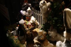 weihnachtsmaerkte-2010-duesseldorf-schaufenster-088