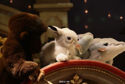weihnachtsmaerkte-2010-duesseldorf-schaufenster-092