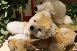 weihnachtsmaerkte-2010-duesseldorf-schaufenster-094
