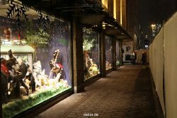 weihnachtsmaerkte-2010-duesseldorf-schaufenster-101