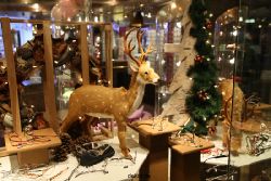 weihnachtsmaerkte-2010-hattingen-altstadt-067
