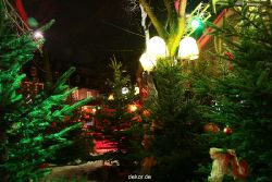 weihnachtsmaerkte-2010-hattingen-altstadt-104