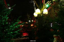 weihnachtsmaerkte-2010-hattingen-altstadt-105