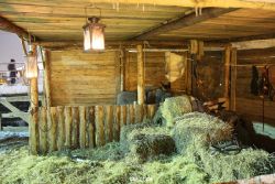 weihnachtsmaerkte-2010-koeln-mittelalter-012