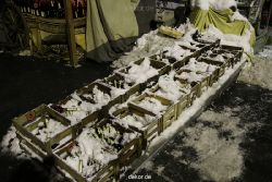 weihnachtsmaerkte-2010-koeln-mittelaltermarkt-030