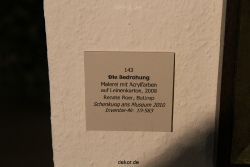 weihnachtsmaerkte-2010-telgte-krippenausstellung-059