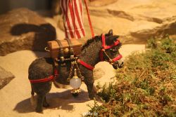 weihnachtsmaerkte-2010-telgte-krippenausstellung-087