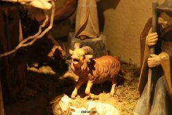 weihnachtsmaerkte-2010-telgte-krippenausstellung-115