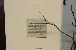 weihnachtsmaerkte-2010-telgte-krippenausstellung-132