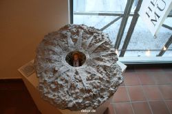 weihnachtsmaerkte-2010-telgte-krippenausstellung-145