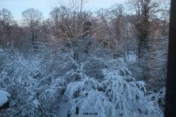 weihnachtsmaerkte-2010-telgte-krippenausstellung-177