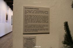 weihnachtsmaerkte-2010-telgte-krippenausstellung-206