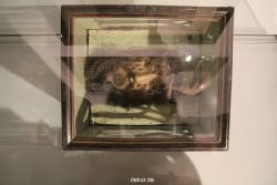 weihnachtsmaerkte-2010-telgte-krippenausstellung-281