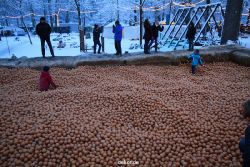 weihnachtsmaerkte-2010-telgte-mittelaltermarkt-069