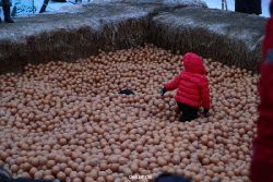 weihnachtsmaerkte-2010-telgte-mittelaltermarkt-074