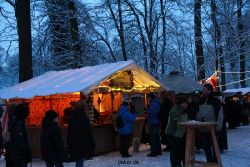 weihnachtsmaerkte-2010-telgte-mittelaltermarkt-084