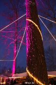 weihnachtsmaerkte-2010-telgte-mittelaltermarkt-150