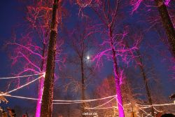 weihnachtsmaerkte-2010-telgte-mittelaltermarkt-160