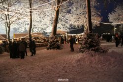 weihnachtsmaerkte-2010-telgte-mittelaltermarkt-172