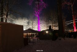 weihnachtsmaerkte-2010-telgte-mittelaltermarkt-193