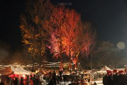 weihnachtsmaerkte-2010-telgte-mittelaltermarkt-216
