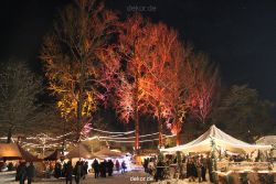 weihnachtsmaerkte-2010-telgte-mittelaltermarkt-233