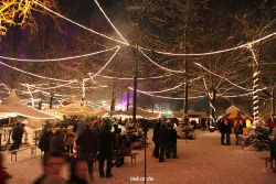 weihnachtsmaerkte-2010-telgte-mittelaltermarkt-242