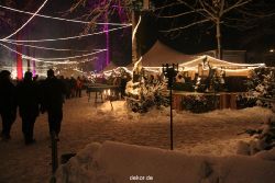 weihnachtsmaerkte-2010-telgte-mittelaltermarkt-245