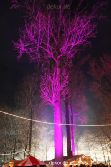 weihnachtsmaerkte-2010-telgte-mittelaltermarkt-250