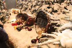 weihnachtsmaerkte-2010-telgte-mittelaltermarkt-290