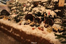 weihnachtsmaerkte-2010-telgte-mittelaltermarkt-295
