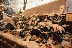 weihnachtsmaerkte-2010-telgte-mittelaltermarkt-296
