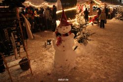weihnachtsmaerkte-2010-telgte-mittelaltermarkt-301