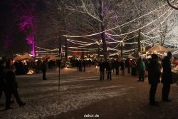 weihnachtsmaerkte-2010-telgte-mittelaltermarkt-319