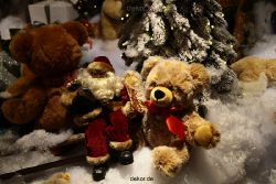 weihnachtsmaerkte-2011-duesseldorf-schaufenster-005