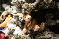 weihnachtsmaerkte-2011-duesseldorf-schaufenster-006