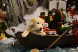 weihnachtsmaerkte-2011-duesseldorf-schaufenster-013