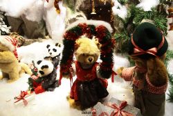 weihnachtsmaerkte-2011-duesseldorf-schaufenster-014