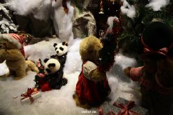 weihnachtsmaerkte-2011-duesseldorf-schaufenster-023