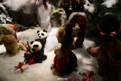 weihnachtsmaerkte-2011-duesseldorf-schaufenster-024