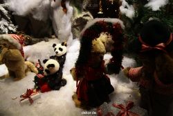 weihnachtsmaerkte-2011-duesseldorf-schaufenster-025