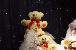 weihnachtsmaerkte-2011-duesseldorf-schaufenster-033