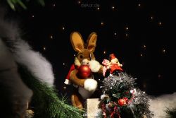 weihnachtsmaerkte-2011-duesseldorf-schaufenster-045
